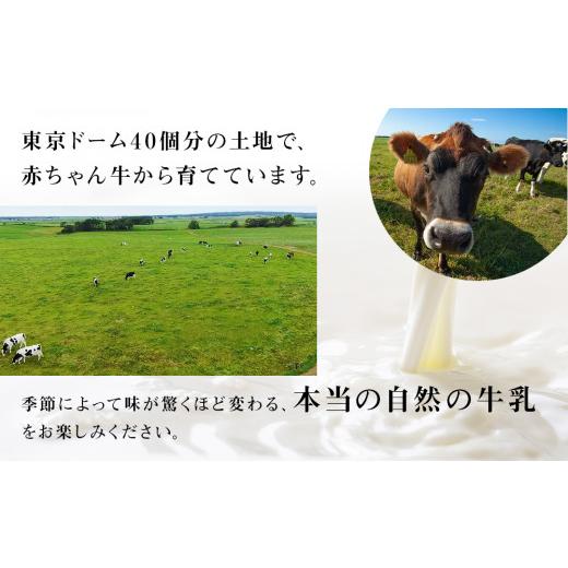 ふるさと納税 北海道 天塩町  最高峰の牛乳 2本(900ml×2本) お楽しみ おまけ付き