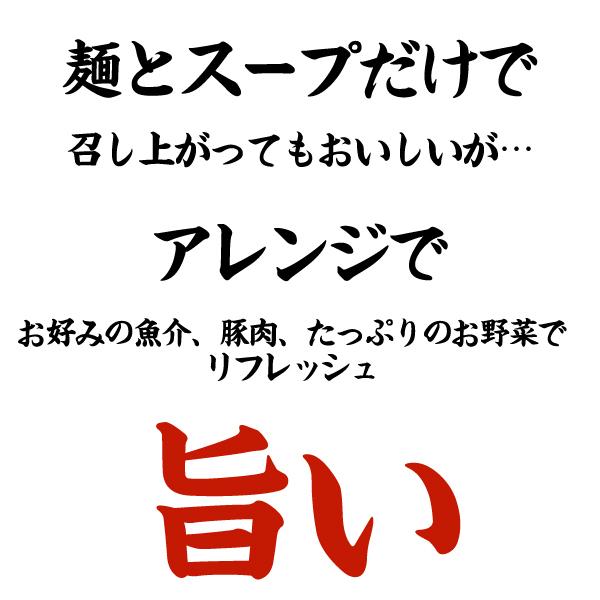 送料無料 生ちゃんぽん麺 2食 得トクセール 食品 ポイント消化 お試し ちゃんぽん 取り寄せ ご当地グルメ グルメ 特産品 生麺 チャンポン