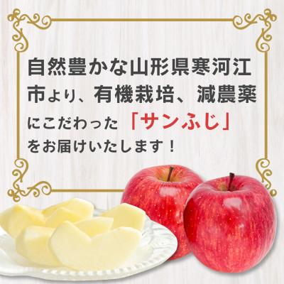 ふるさと納税 寒河江市 山形県産サンふじりんご 約5kg (12〜20玉入り)