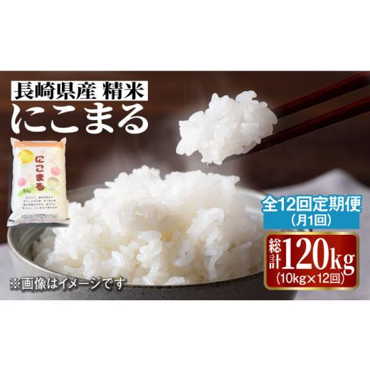 ふるさと納税 長崎県 南島原市  長崎県産 精米 にこまる 10kg 総計 120kg ／ 南島原市 ／ 大松屋商店 [SDR008]