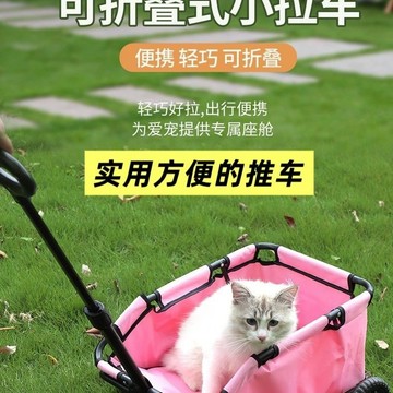 🔥優選🔥新款戶外小型寵物寶寶推車可折疊輕便外出玩具拉車遛貓遛狗手推車