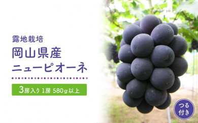 GV21　岡山県産ニューピオーネつる付き3房入り（1房580ｇ以上）＜2024年発送＞