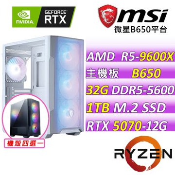 微星平台 R5 六核  RTX 5070 12G SHADOW 2X OC{無雙戰域X}電競機(R5-9600X/B650/32G D5/1TB/650W)