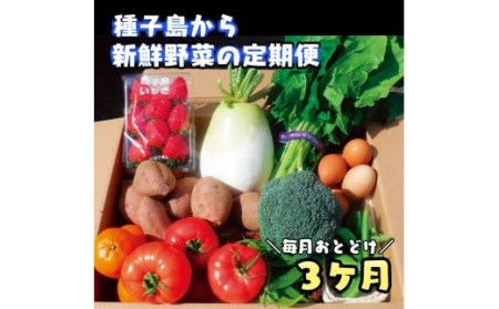 ３か月定期便・種子島の新鮮 野菜と果物７～１０品と鶏卵セット