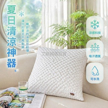 台灣出貨✨ 冰豆豆涼感抱枕 45x45公分枕套 雙面冰涼靠墊 夏日宿舍臥室客廳辦公