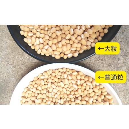 ふるさと納税 備中夢白小豆 大粒サイズ 1kg（500g×2個）×3回 岡山県新見市