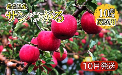 サンつがる約10kg 家庭用（9月発送）青森県産