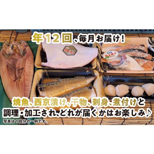 ふるさと納税 北海道 新ひだか町 ＜定期便12回＞北海道産 旬 の お魚 4〜5種 お楽しみ 定期便 魚 旬のお魚 セット