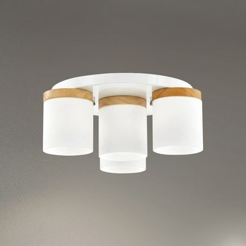 北歐風原木造型吸頂燈 F85-09-K2824