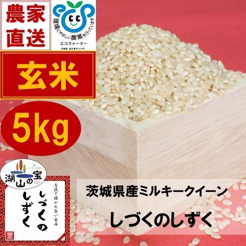 令和5年産　お米　ミルキークイーン　玄米　5kg　しづくのしずく