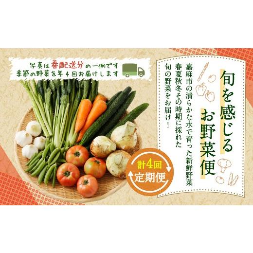 ふるさと納税 福岡県 嘉麻市 旬を感じるお野菜 定期便 年4回 季節 野菜セット