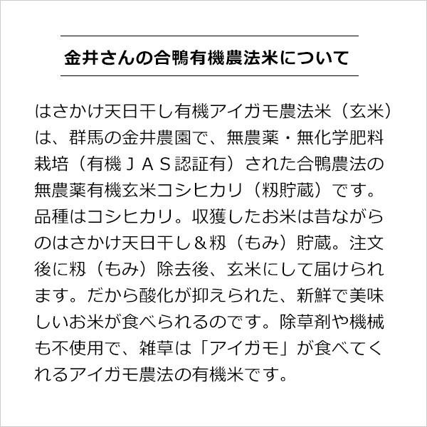 群馬県 金井農園の無農薬有機玄米 金井さんの天日干し合鴨農法玄米20kg（5kg×4袋） コシヒカリ有機玄米 昔ながらの天日干し・籾（もみ）貯蔵