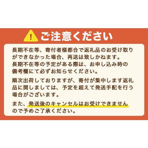 ふるさと納税 熊本県 湯前町 球磨の恵みヨーグルトセット(加糖1kg×4個)計48kg