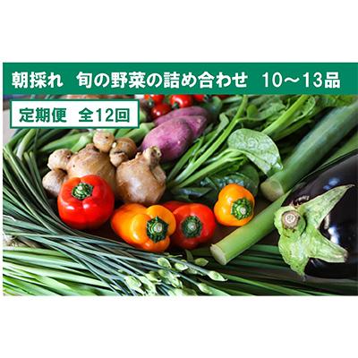 ふるさと納税 香美市 土佐野菜の旬の野菜詰め合わせ10〜13品目全12回