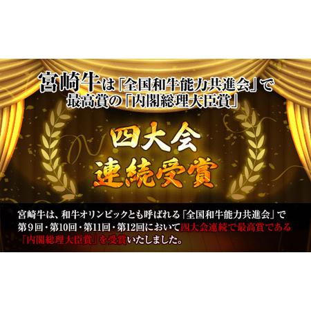 ふるさと納税 KU312 宮崎牛ウデスライスと宮崎県産和牛小間切れセット 計500g 宮崎県串間市