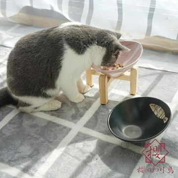 寵物碗食盆傾斜碗護頸寵物用品【櫻田川島】