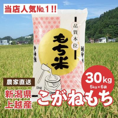 ふるさと納税 上越市 ブランドもち米「こがねもち」令和5年産 新潟県産 