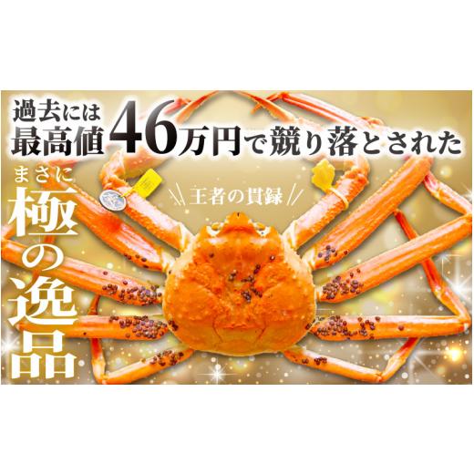 ふるさと納税 福井県 越前町 越前がに本場の越前町からお届け！ 越前がに極 浜茹で × 1杯（生で1.5kg以上） かにの食べ方しおり付き【福井県…