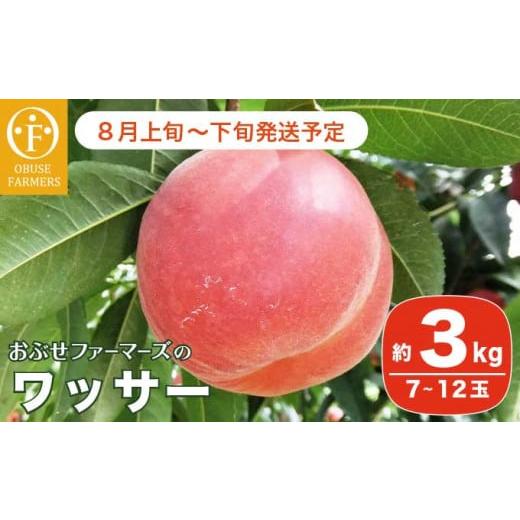 ふるさと納税 長野県 小布施町 ワッサー 約3kg 7〜12玉 ［おぶせファーマーズ］果物 フルーツ クール便 冷蔵便 長野県産 信州産 令和6年産【2024年8月上旬〜下…