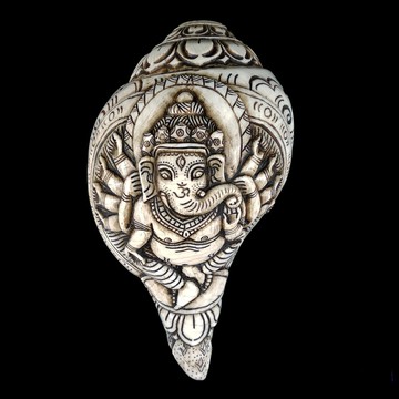 《博古珍藏》象鼻財神右旋法螺．藏傳密宗法器文物．626公克．早期收藏．老件．信徒結緣．底價回饋