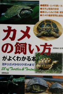  カメの飼い方がよくわかる本 ミドリガメからリクガメまで／霍野晋吉