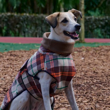 高領保暖衣TUR6 (布萊切利) S-6L 方便穿脫/ 牽繩洞設計