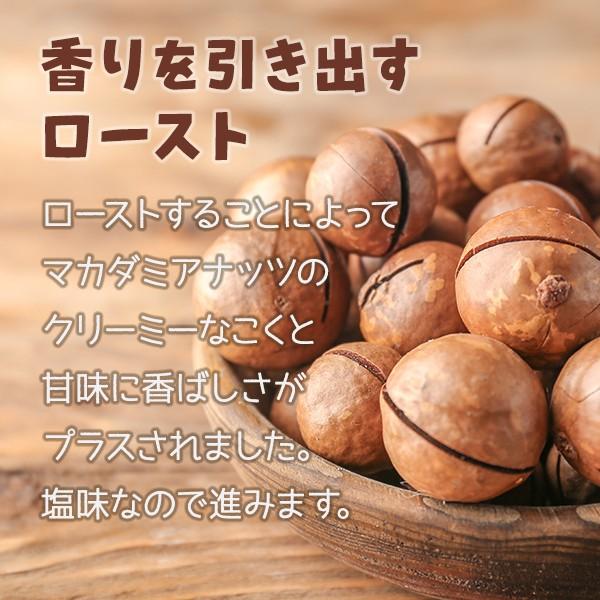 香ばしい ロースト マカダミアナッツ 250g  塩味 無添加 素焼き マカデミアナッツ おやつ おつまみ