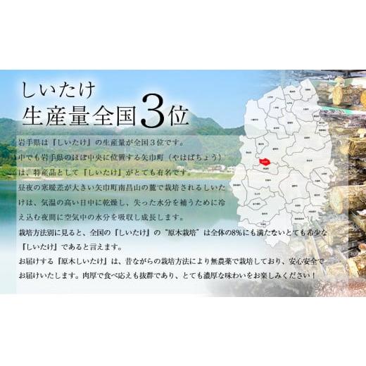 ふるさと納税 岩手県 矢巾町 2024年2月発送　希少！原木しいたけ「生椎茸と干し椎茸（丸干し・スライス）セット」