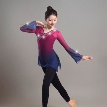 古典舞韻紗衣藝考舞蹈服中國舞基訓服漸變長袖帶鉆身韻練功服上衣