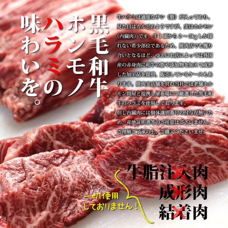 リッチな特上焼肉セット（2〜3人前 560g）黒毛和牛の特上ハラミ＆特上カルビ入りお祝い お歳暮 ギフト