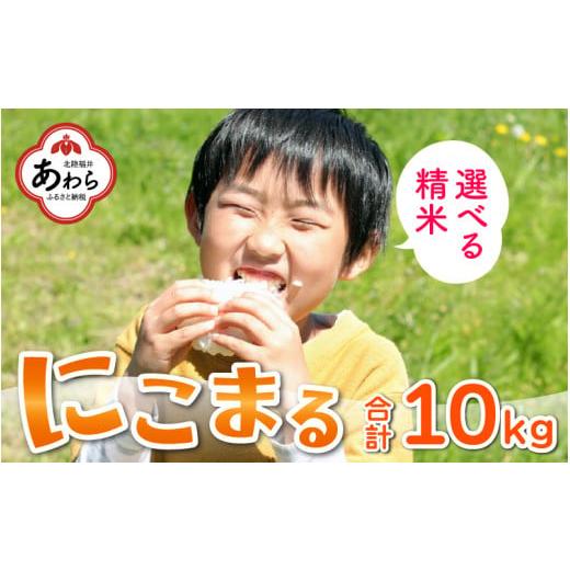 ふるさと納税 福井県 あわら市 にこまる 5kg×2袋（計10kg）