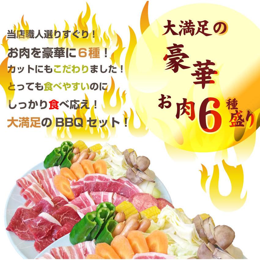 焼肉 セット 牛肉 肉 バーベキュー ギガ盛り 野菜付 12〜14人前 BBQ 焼くだけ 福袋 グルメ お歳暮 ギフト 食品 プレゼント キャンプ キャンプ飯