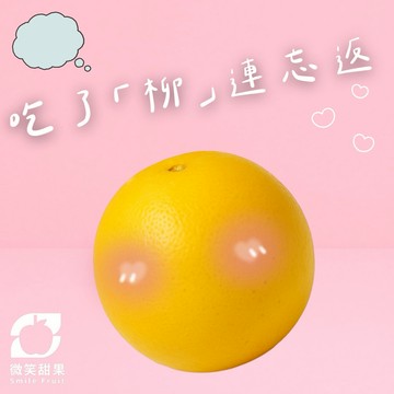 12月射手座送禮【微笑甜果】自然熟成老欉柳丁禮盒｜柳丁禮盒・台灣柳丁・老欉柳丁