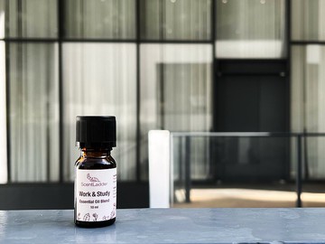 Work & Study l 複方精油 l 專注力精油 l鎮靜情緒