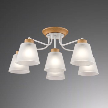 E27 時尚半吸頂六燈  B209-030138