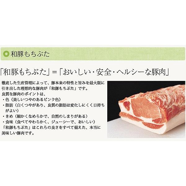 加工品詰め合わせ ハム ベーコン ソーセージ 角煮 煮豚 もちぶた 宮城県産 ギフト ギフトセット お歳暮 お歳暮 C02