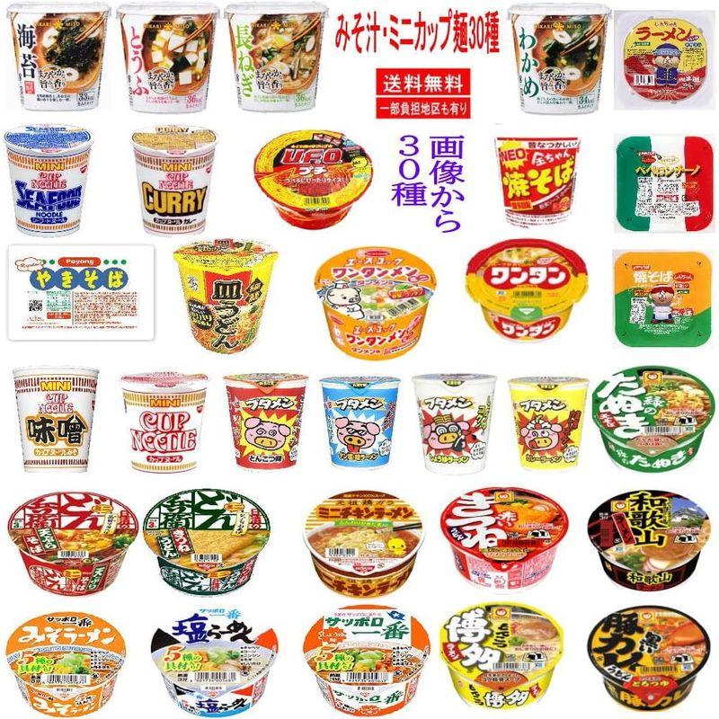 リニューアル マルちゃん 日清食品 サッポロ一番 明星食品 エースコック カップ麺 ミニ 完成版 マンスリー 30食セット