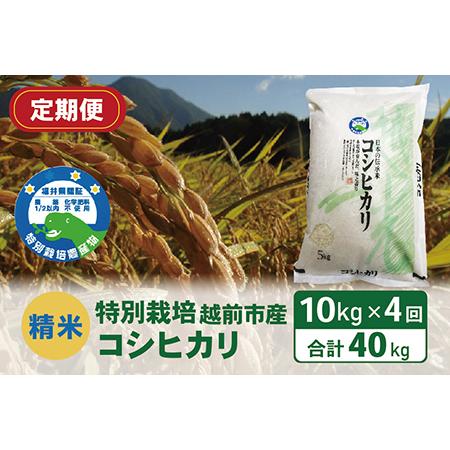 ふるさと納税 〈先行予約〉（令和5年度新米 精米）特別栽培 越前市産コシヒカリ 10kg×４回 福井県越前市