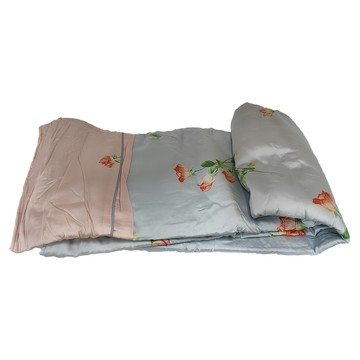 Betrise 貝翠絲 C量能系列 奧地利天絲 光淬石墨烯三件式兩用被床包組 - 增添石墨烯纖維 春漾  兩用被 + 床包  單人