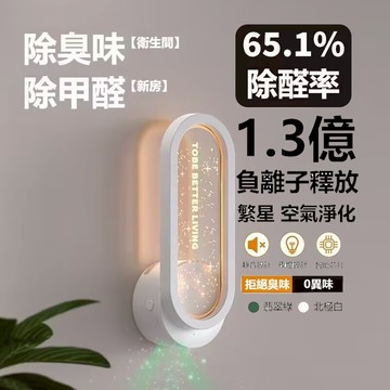 【隔日達+0異味】1.3億負離子空氣淨化機 空氣清淨機 夜燈香氛 家用空氣淨化器 除味 異味 廁所 尿味 空氣清淨驅紋器