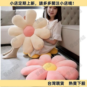 【精選優品】坐墊 小雛菊抱枕 花朵抱枕 ins可愛太陽花毛絨靠墊 沙發坐墊 臥室靠枕 坐墊靠墊 可愛坐墊