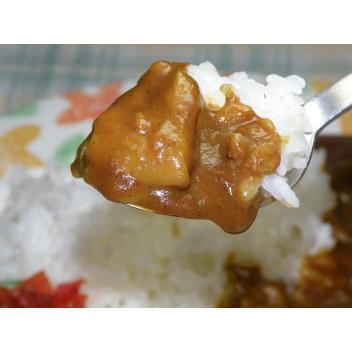 青森田子産のニンニクたっぷりのにんにくカレー メール便送料込み