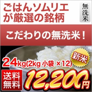 無洗米 24kg 2kg×12袋 新米 令和5年(2023年)産  香川県産こしひかり 送料無料  米 お米 白米