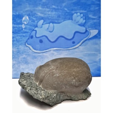 【跟你說哦，海蛞蝓】 加拿大精靈石/守護精靈石/哈利卡那 ~提供保護 昌盛 健康 助打破老舊創傷制約