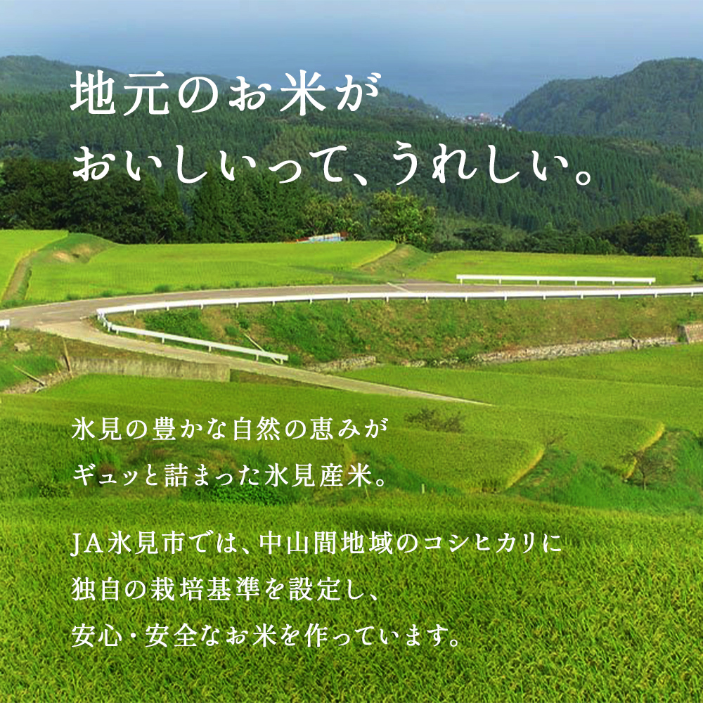 令和5年産富山県産コシヒカリ《ひみ穂波》30kg ＜10月以降順次発送＞富山県 氷見市 こしひかり 30kg 玄米