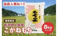 ブランドもち米「こがねもち」令和5年産 新潟県産／