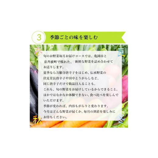 ふるさと納税 京都府 亀岡市 旬の京野菜 特選 毎月お届けスペシャルコース（全12回）＆『葉酸たまご』10個入り×1パック×3回分付き※沖縄・離…