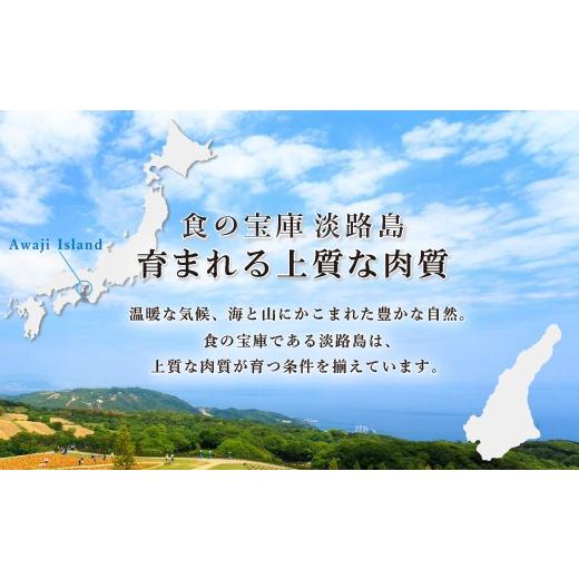 ふるさと納税 兵庫県 淡路市 淡路牛ヒレステーキ（2枚）合計 約200g