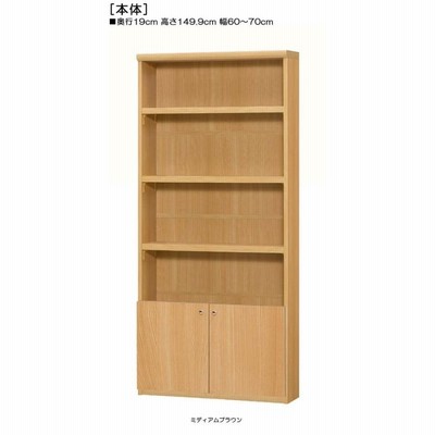 下部扉 オーダー書棚 高さ１４９．９ｃｍ幅６０〜７０ｃｍ奥行１９ｃｍ厚棚板（棚板厚み2.5cm） 下扉高さ41.5cm ビデオ収納 台所