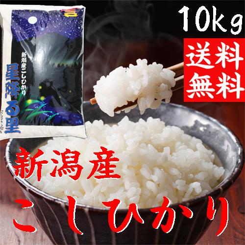 新米 5分づき 胚芽米 令和5年 新潟産 コシヒカリ 10kg 送料無料 胚芽精米 健康米 ぶづき米 こしひかり